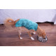 Îmbrăcăminte de Protecție „Dry Light Supreme Dog” Verde Mărimea 12 (32 – 38 kg) UV 50 plus, Antimicrobiană, Dry